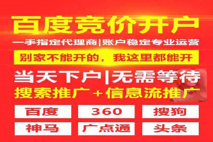 行业领先企业如何运用SEM运营推广